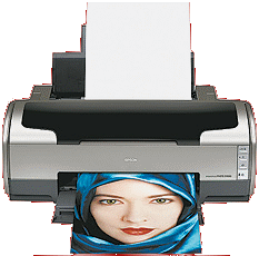 epson-stylus-r1800.gif