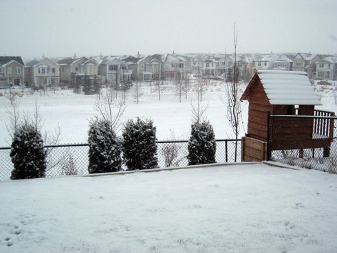 outmywindow-dec27.jpg