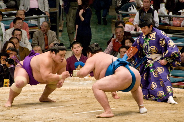 japan-sumo1.jpg